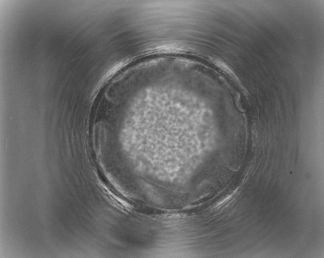 X0000061150930200512022310