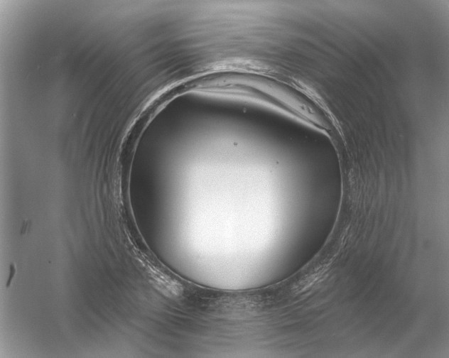 X0000061150931200512022310