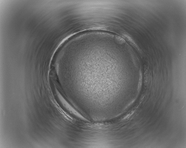 X0000061150932200512022310