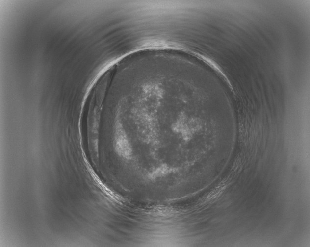 X0000061150935200512022310