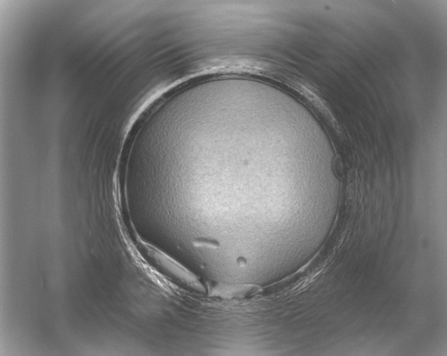 X0000061150936200512022310