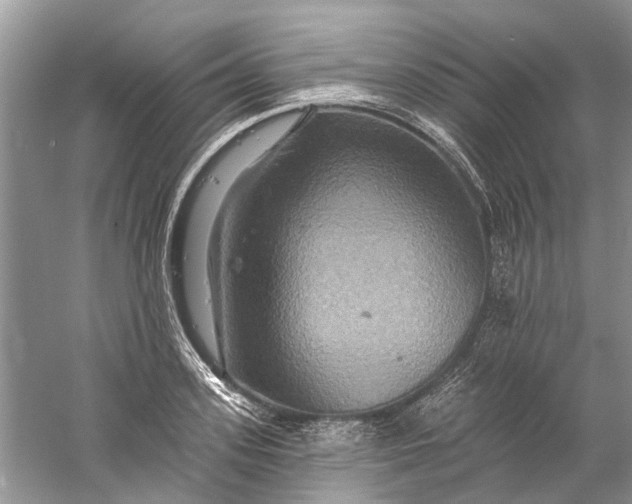 X0000061150939200512022310