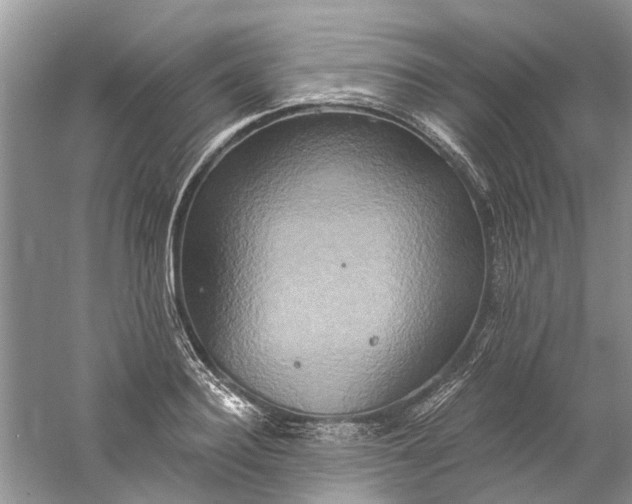 X0000061150940200512022310