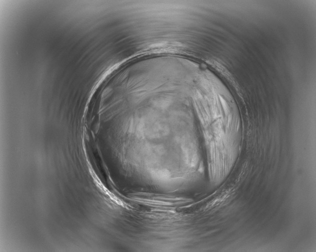 X0000061150941200512022310