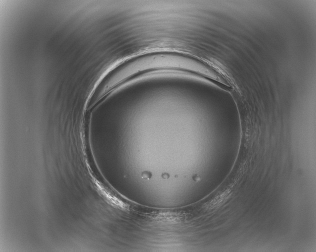 X0000061150942200512022310