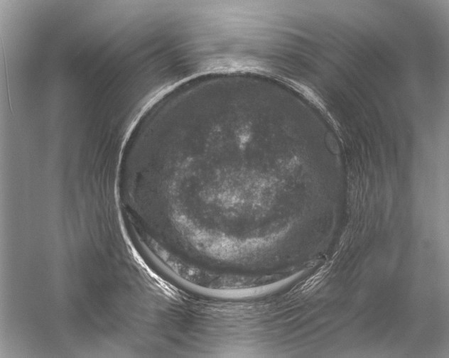 X0000061150943200512022310