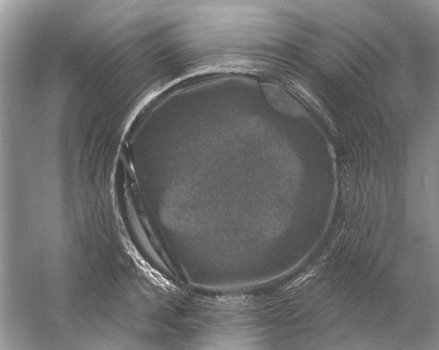 X0000061150944200512022310