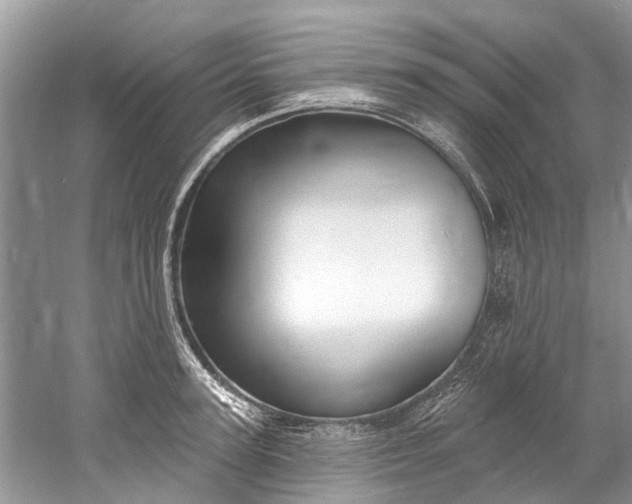 X0000061150947200512022311