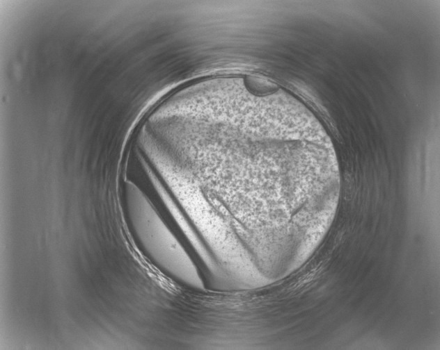 X0000061150948200512022311