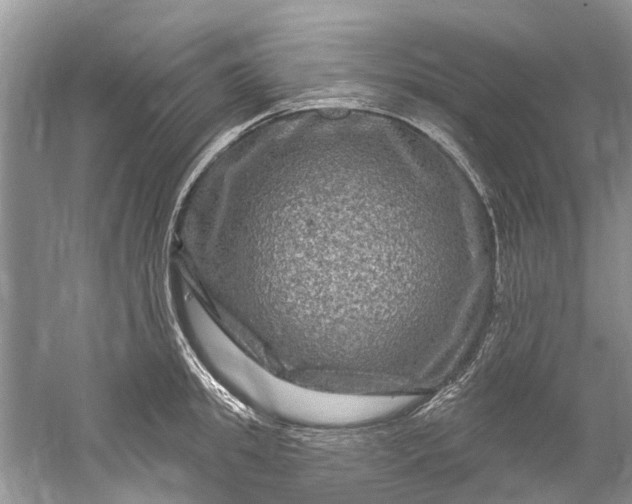 X0000061150949200512022311