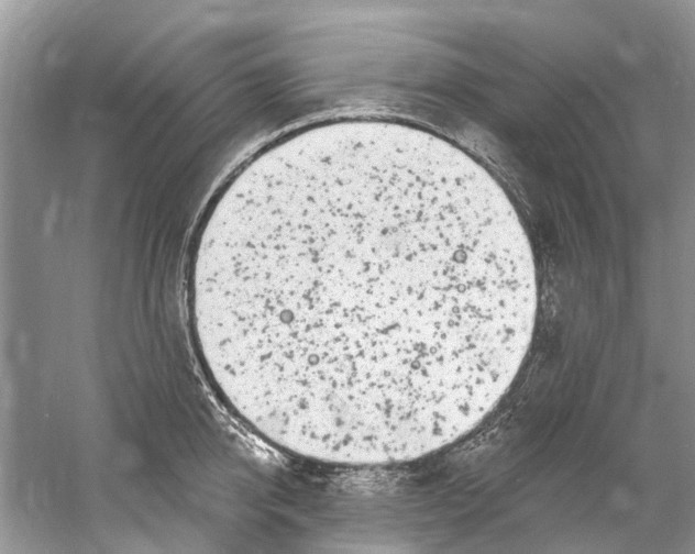 X0000061150950200512022311