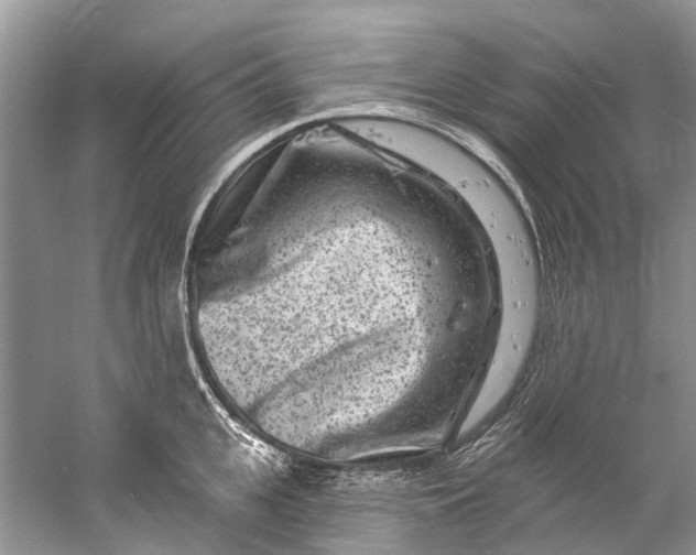 X0000061150951200512022311