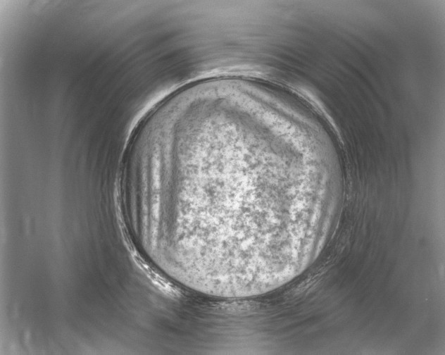 X0000061150952200512022311