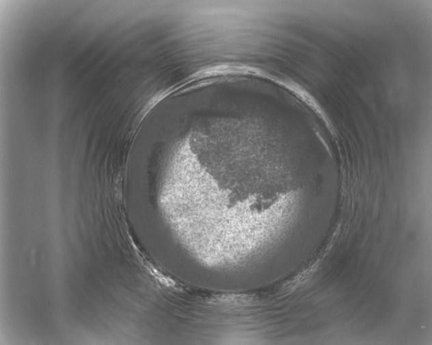 X0000061150953200512022311