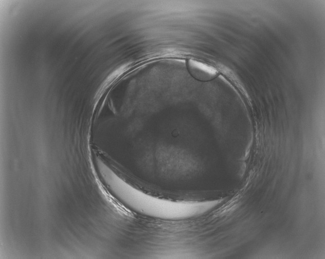 X0000061150954200512022311