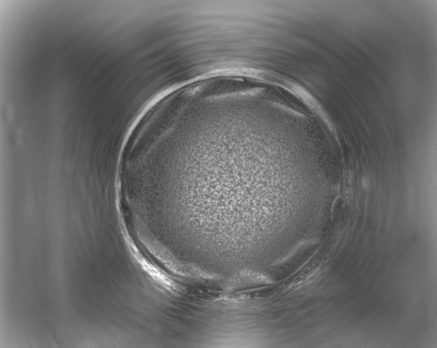 X0000061150955200512022311