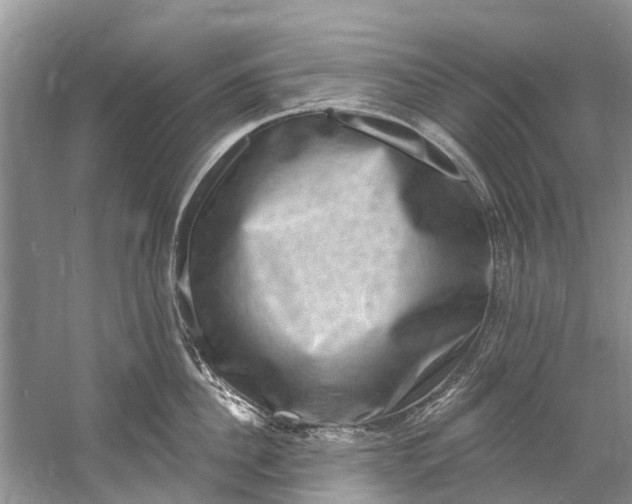 X0000061150956200512022311