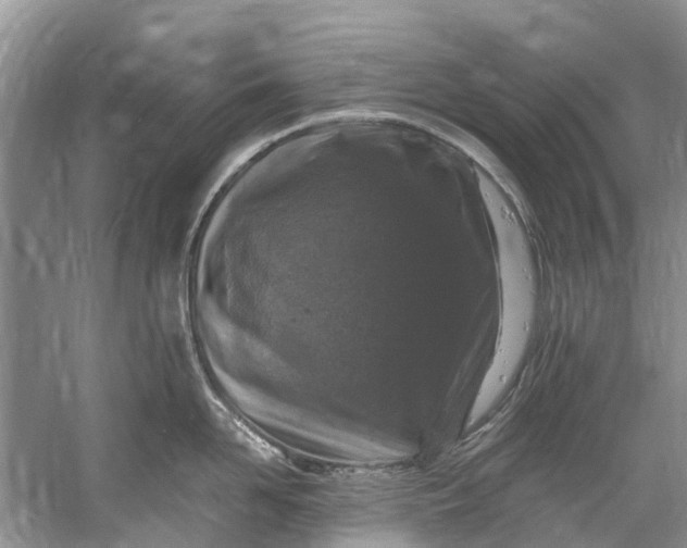 X0000061150958200512022311