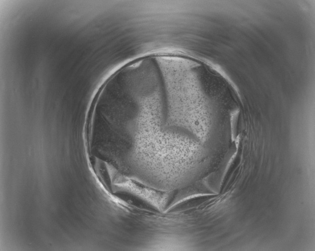 X0000061150959200512022311