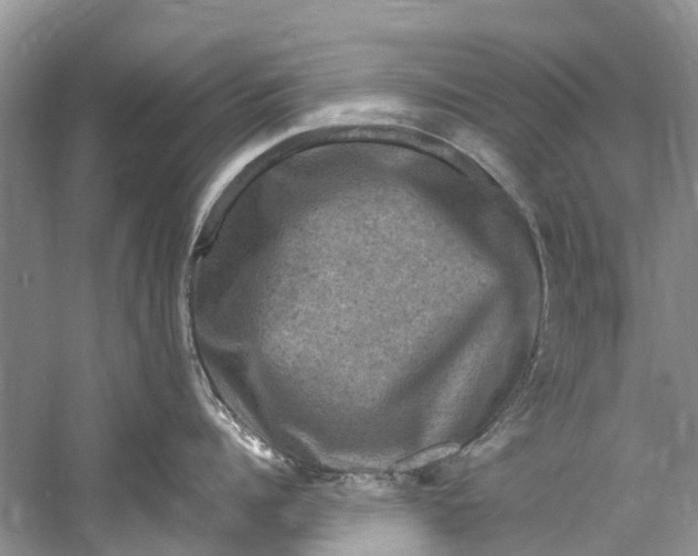 X0000061150960200512022311