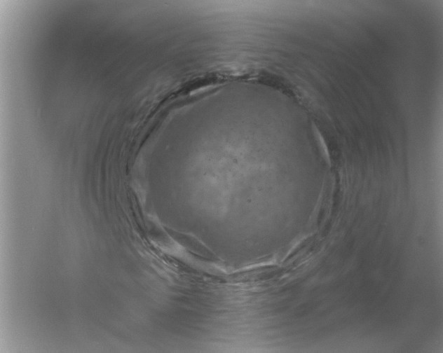 X0000061150961200512022310