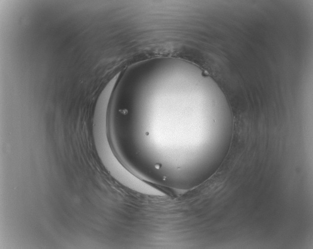 X0000061150962200512022310