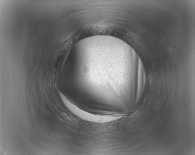 X0000061150964200512022310