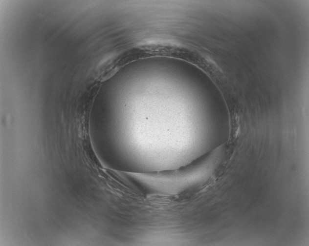 X0000061150965200512022310