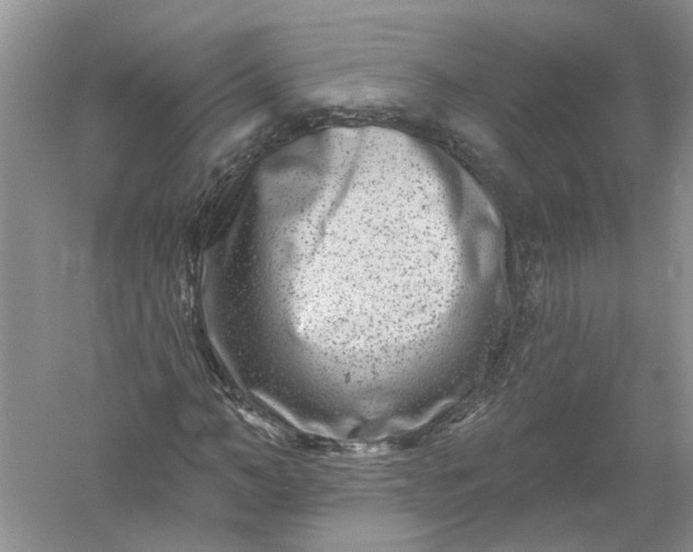 X0000061150966200512022310