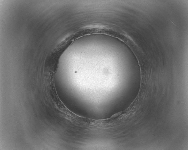 X0000061150967200512022310