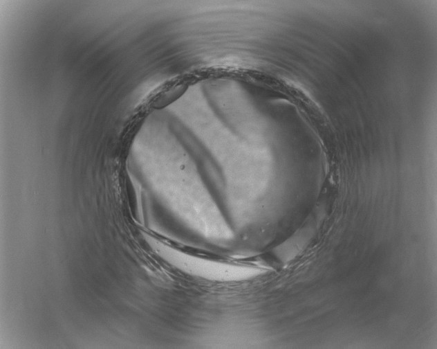 X0000061150968200512022310