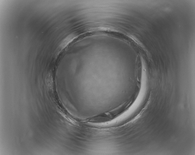 X0000061150969200512022310