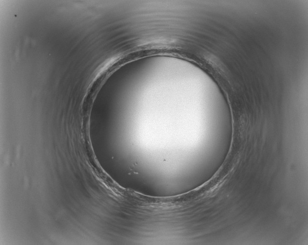 X0000061150970200512022310