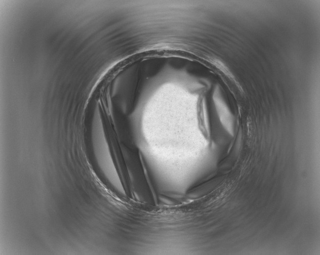 X0000061150972200512022310