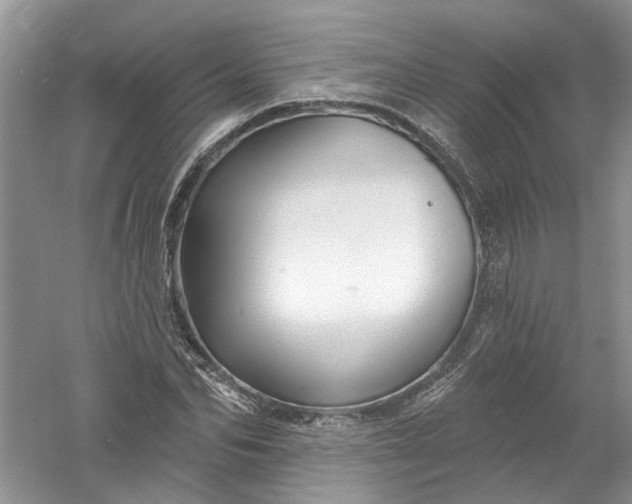 X0000061150974200512022310