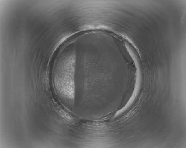 X0000061150975200512022310