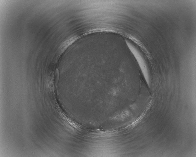 X0000061150977200512022310