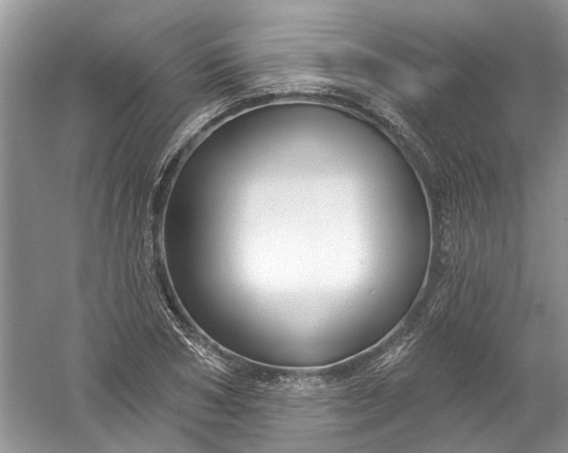 X0000061150978200512022310