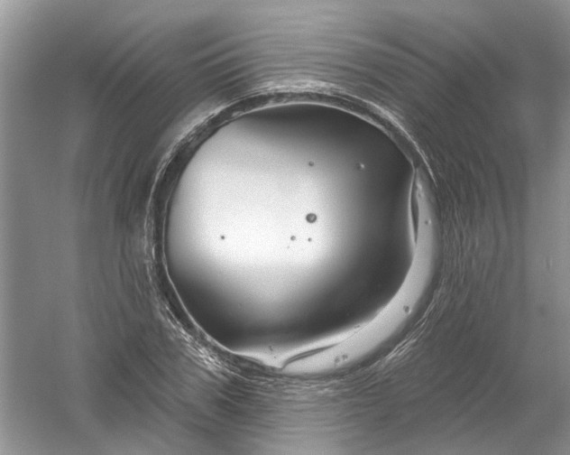 X0000061150979200512022310