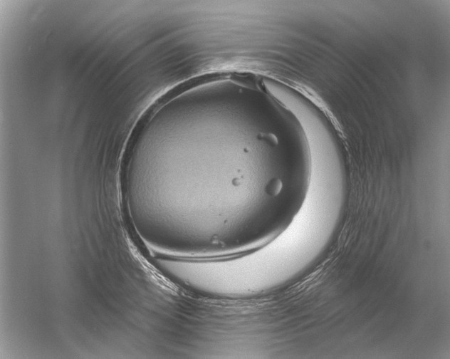 X0000061150980200512022310