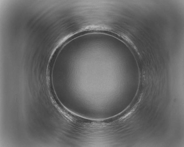 X0000061150981200512022310