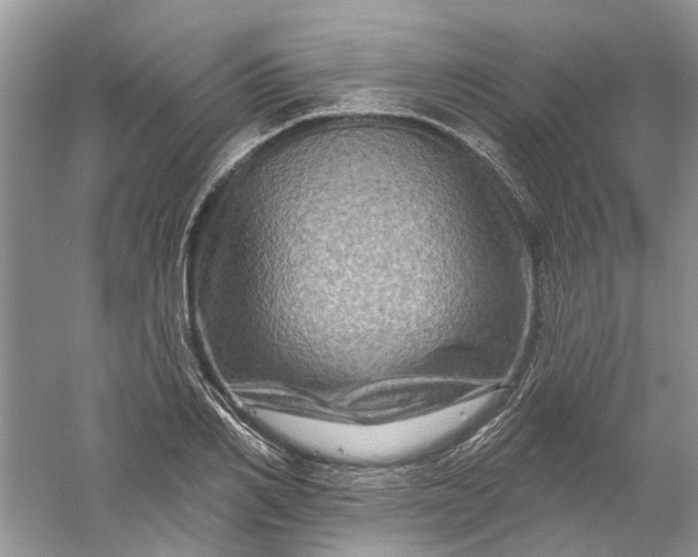 X0000061150982200512022310