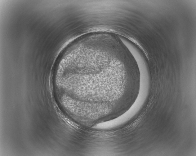 X0000061150983200512022310