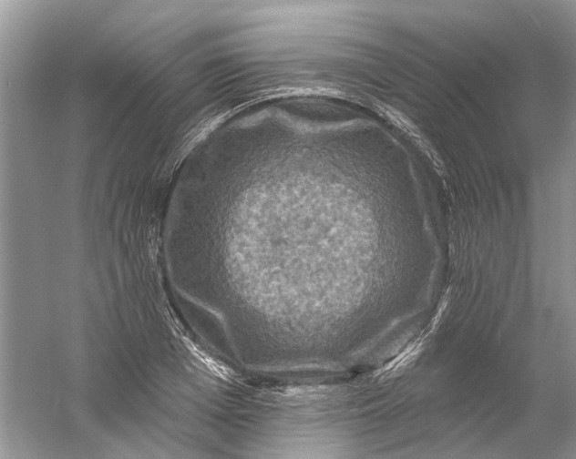 X0000061150985200512022310