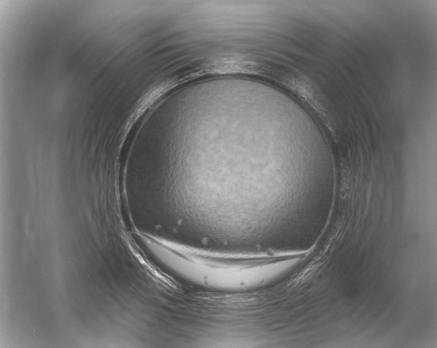 X0000061150986200512022309