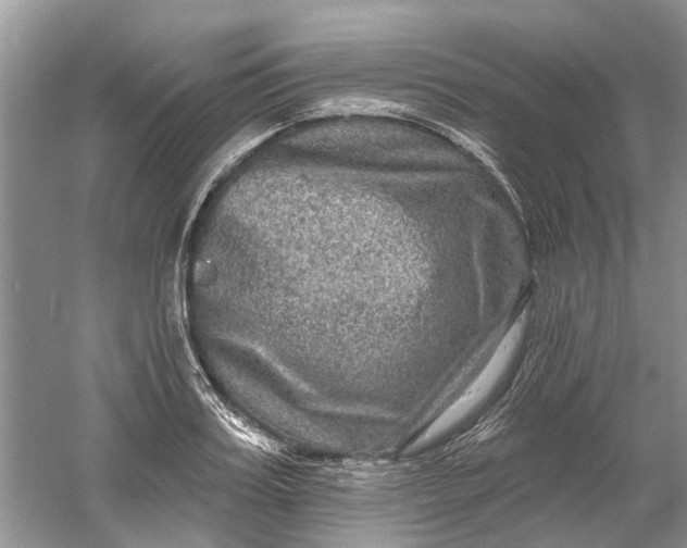 X0000061150987200512022309