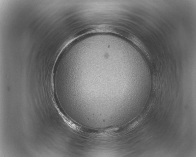 X0000061150988200512022309