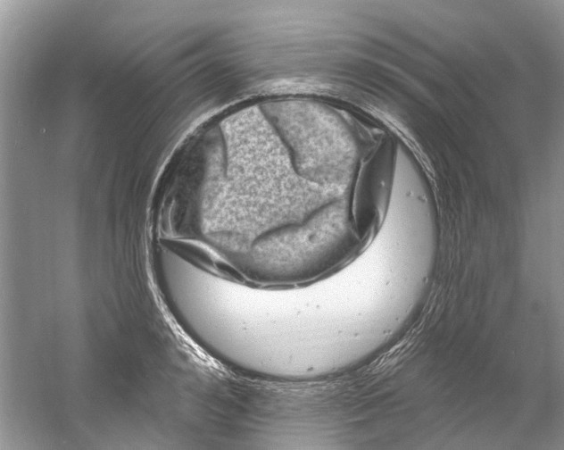 X0000061150992200512022309