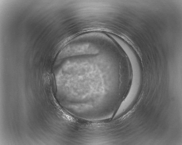 X0000061150993200512022309