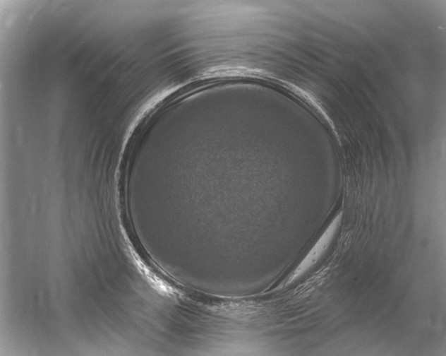 X0000061150995200512022309